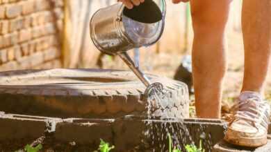 a person pouring water from a watering can into a garden