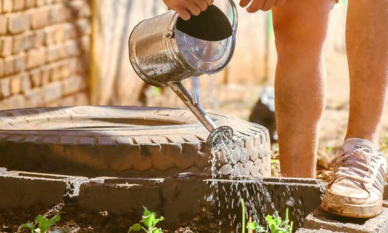 a person pouring water from a watering can into a garden