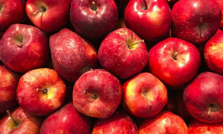 bunch of red apples