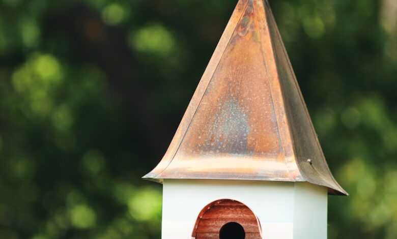 white and brown birdhouse