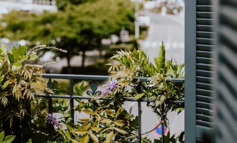 green and purple flower plants