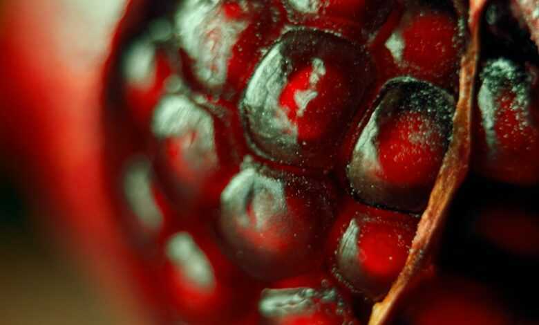 red round fruits in close up photography