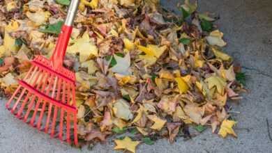 a red rake laying on top of a pile of leaves