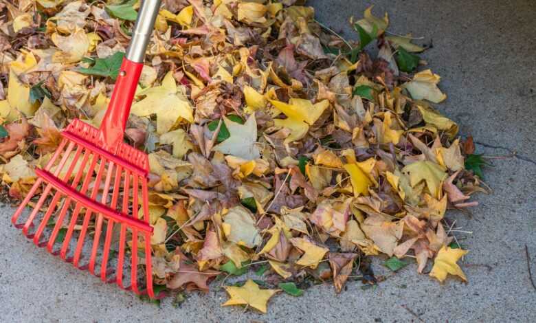 a red rake laying on top of a pile of leaves