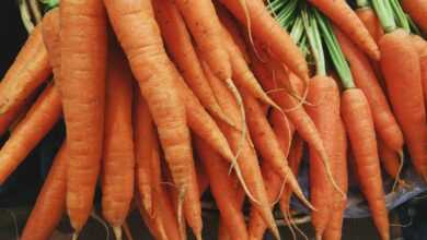 closeup photo of bunch of orange carrots