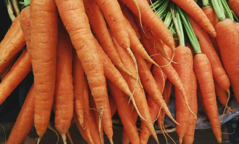 closeup photo of bunch of orange carrots