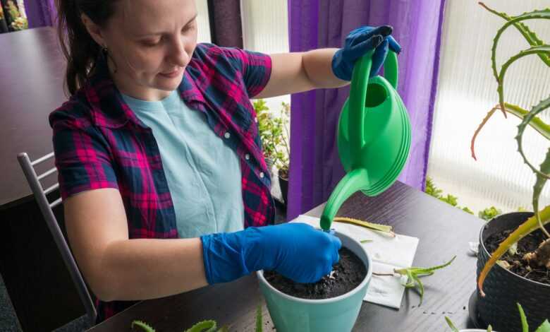 a woman is watering a potted plant with a green watering hose